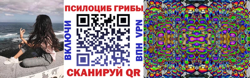 Купить  Рыбинск  Галлюциногенные грибы Magic Shrooms 